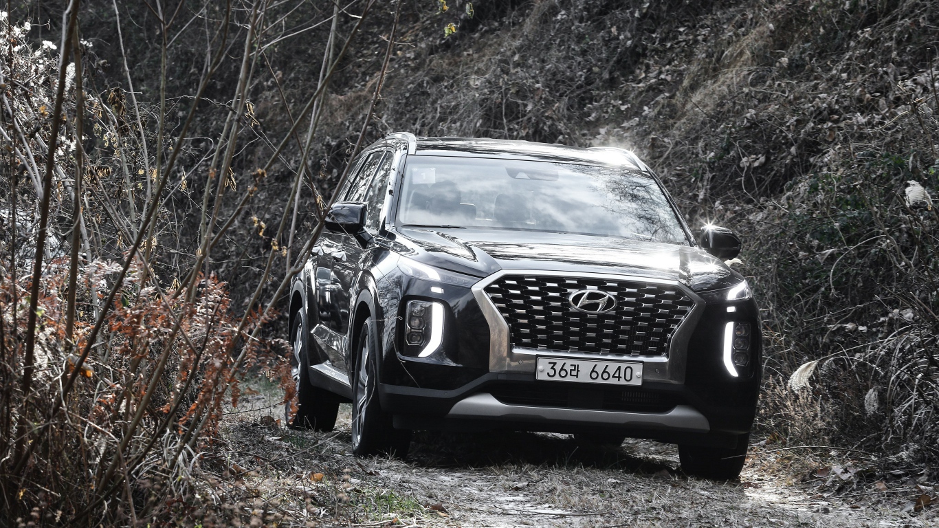 Черный внедорожник Hyundai Palisade 2019 года в зарослях 