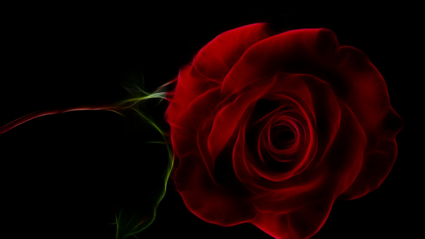 Нарисованная красная роза на черном фоне