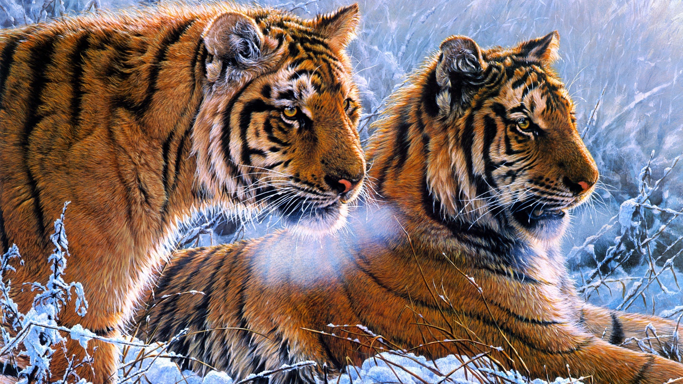 Два нарисованных тигра на снегу
