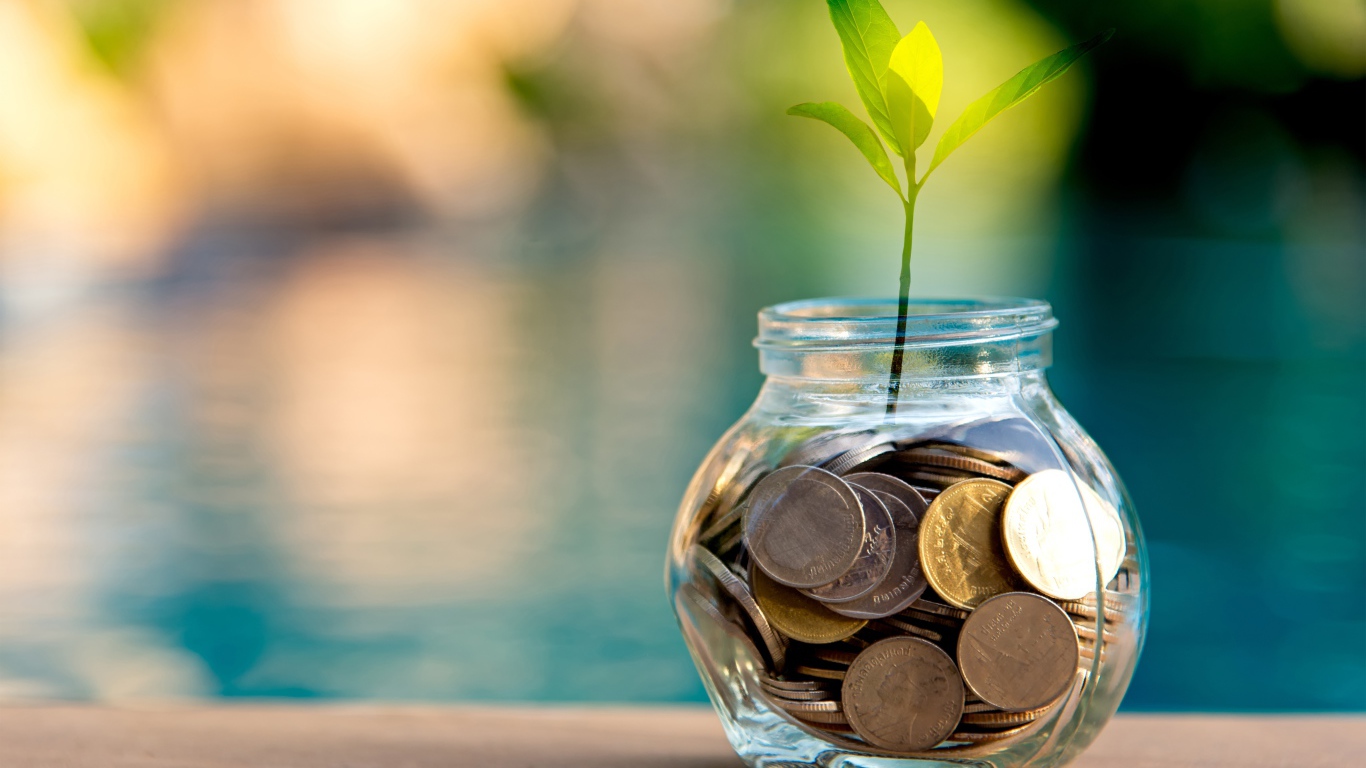 Зеленый росток прорастает из копилки 