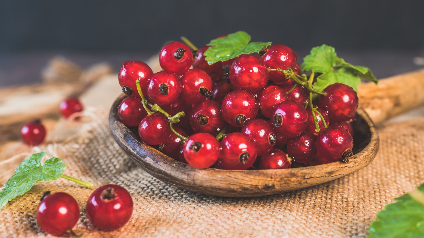 Красивая спелая красная смородина 