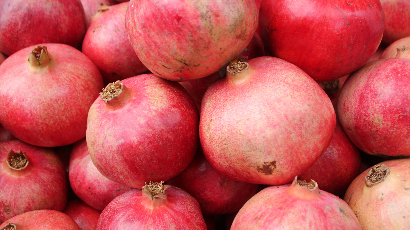 Много красных плодов граната крупным планом