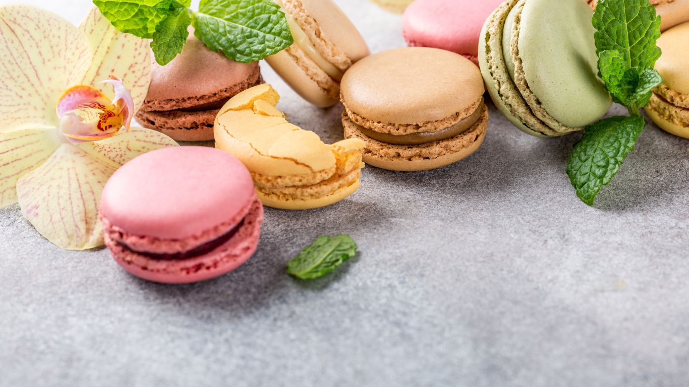 Десерт макарон на серой поверхности с цветами орхидеи и мятой