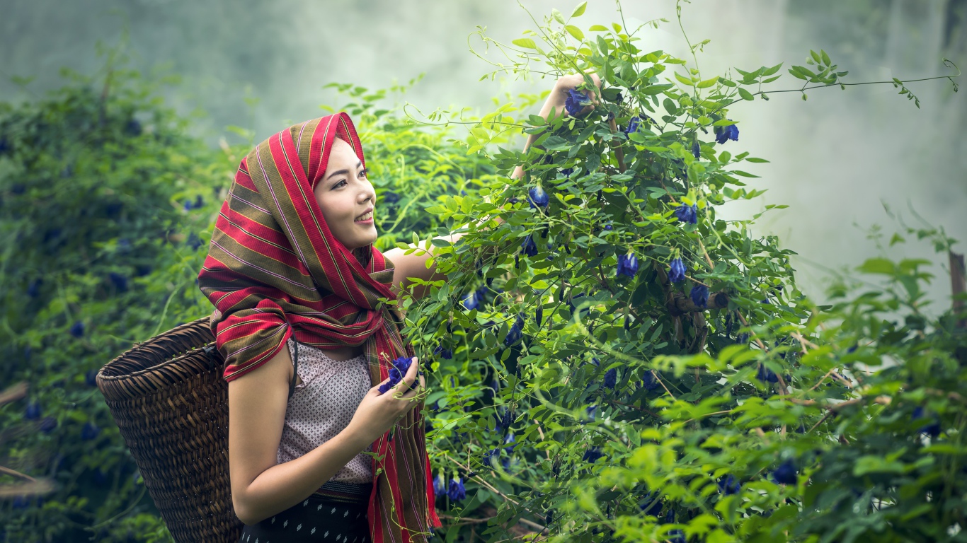 Девушка азиатка собирает цветы в корзину