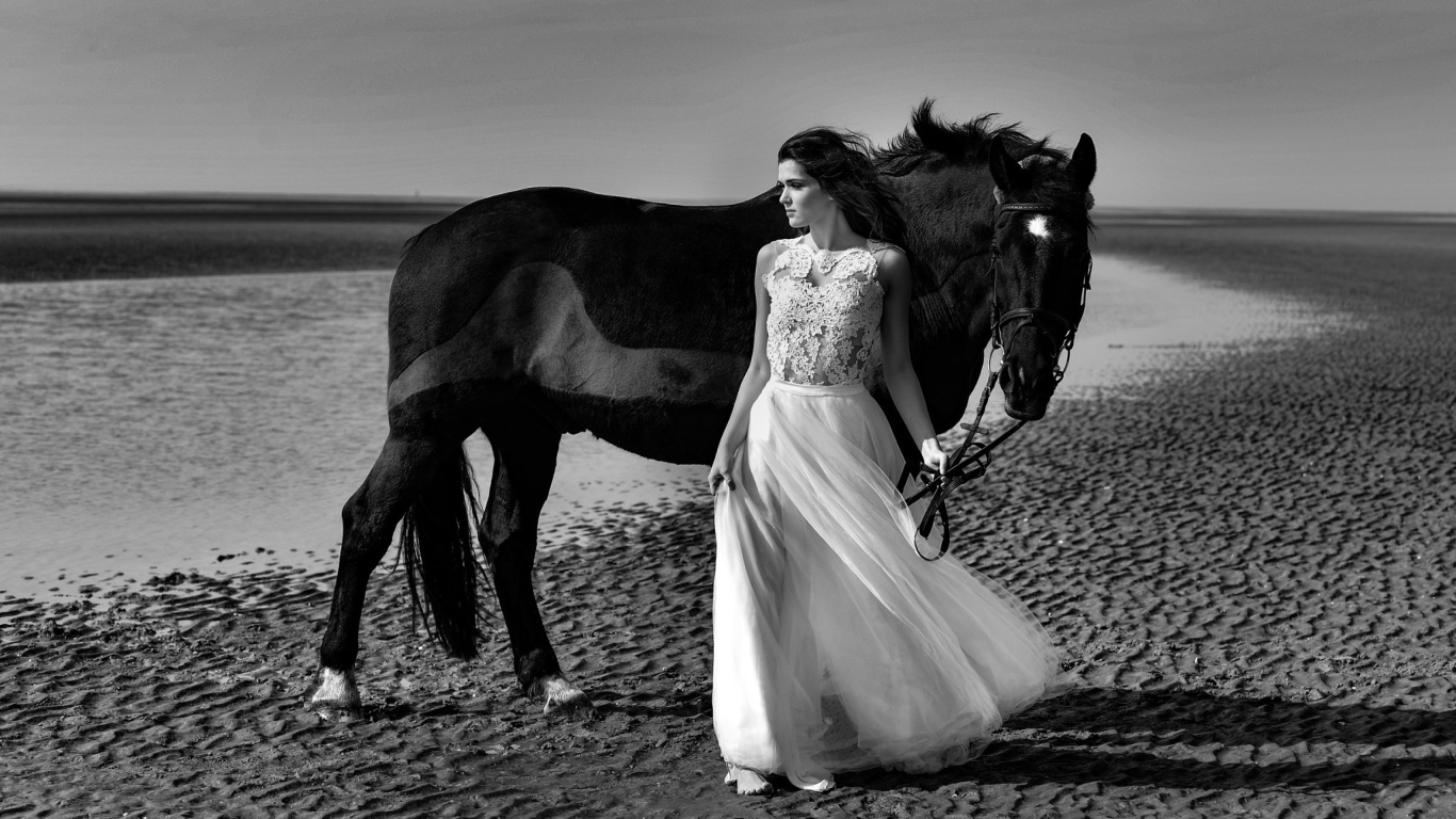 Красивая девушка в свадебном платье с лошадью на берегу моря