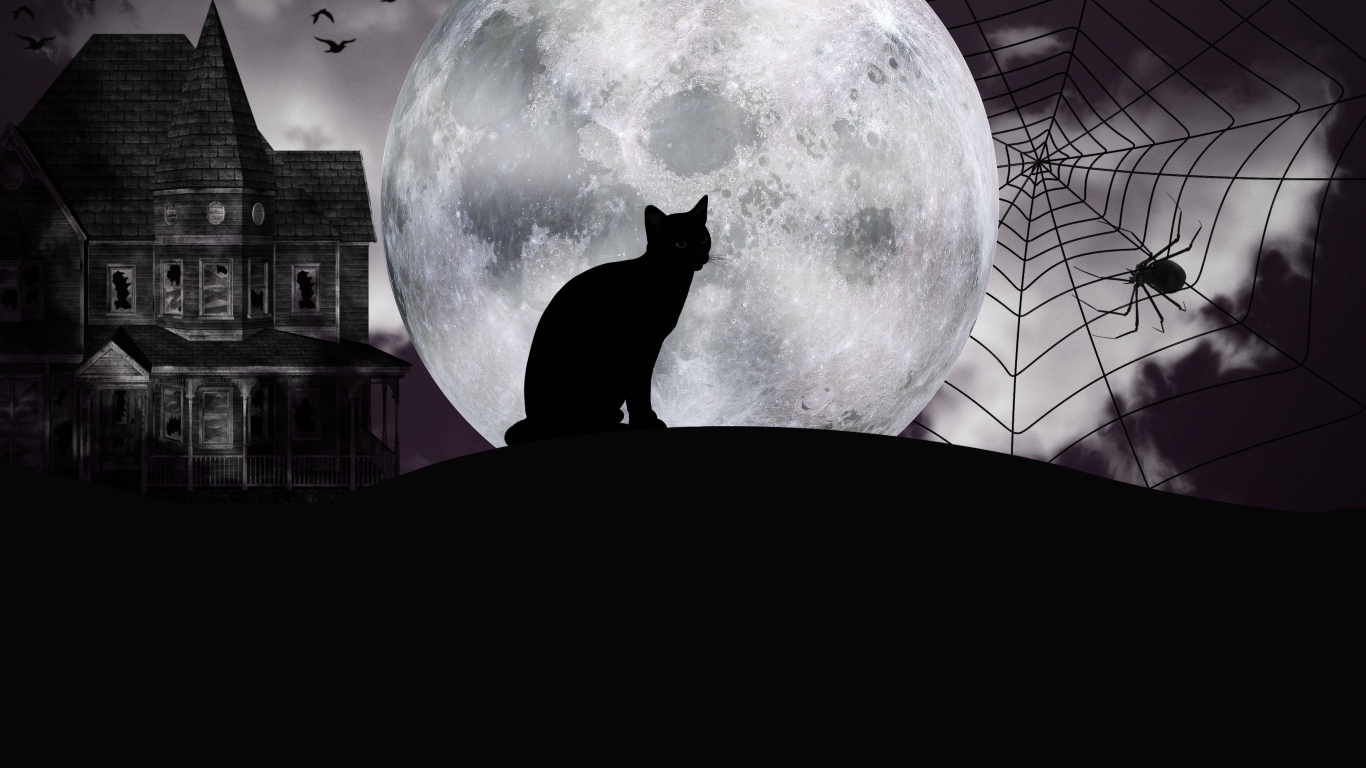 Черный кот на фоне большой луны на Хэллоуин 