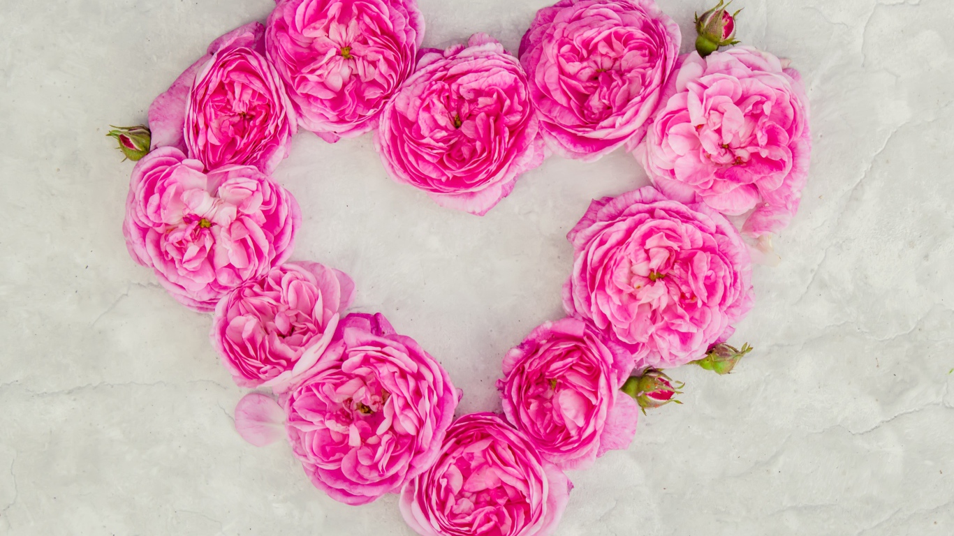 Сердце из розовых роз на сером фоне