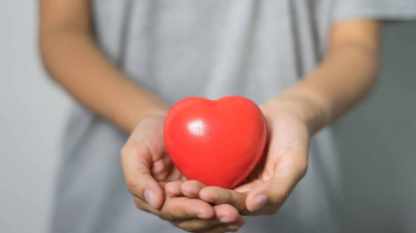 Красное сердце в ладонях 