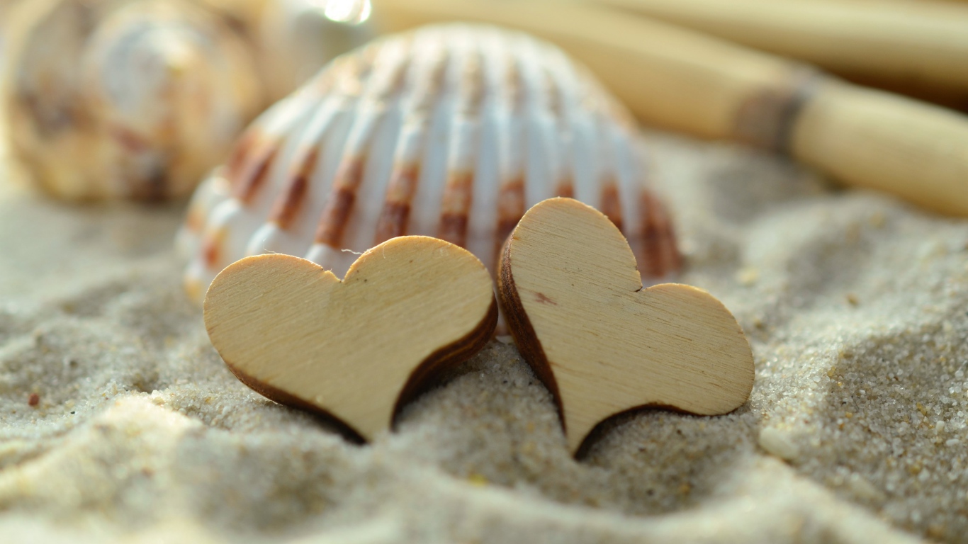 Two wooden hearts and shells lie on the sand