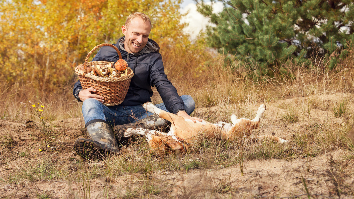 Мужчина собирает грибы с собакой в лесу