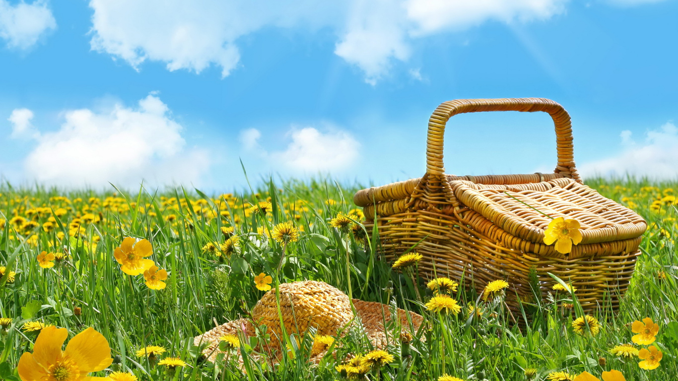 Корзина и шляпа лежат на зеленой траве с желтыми цветами