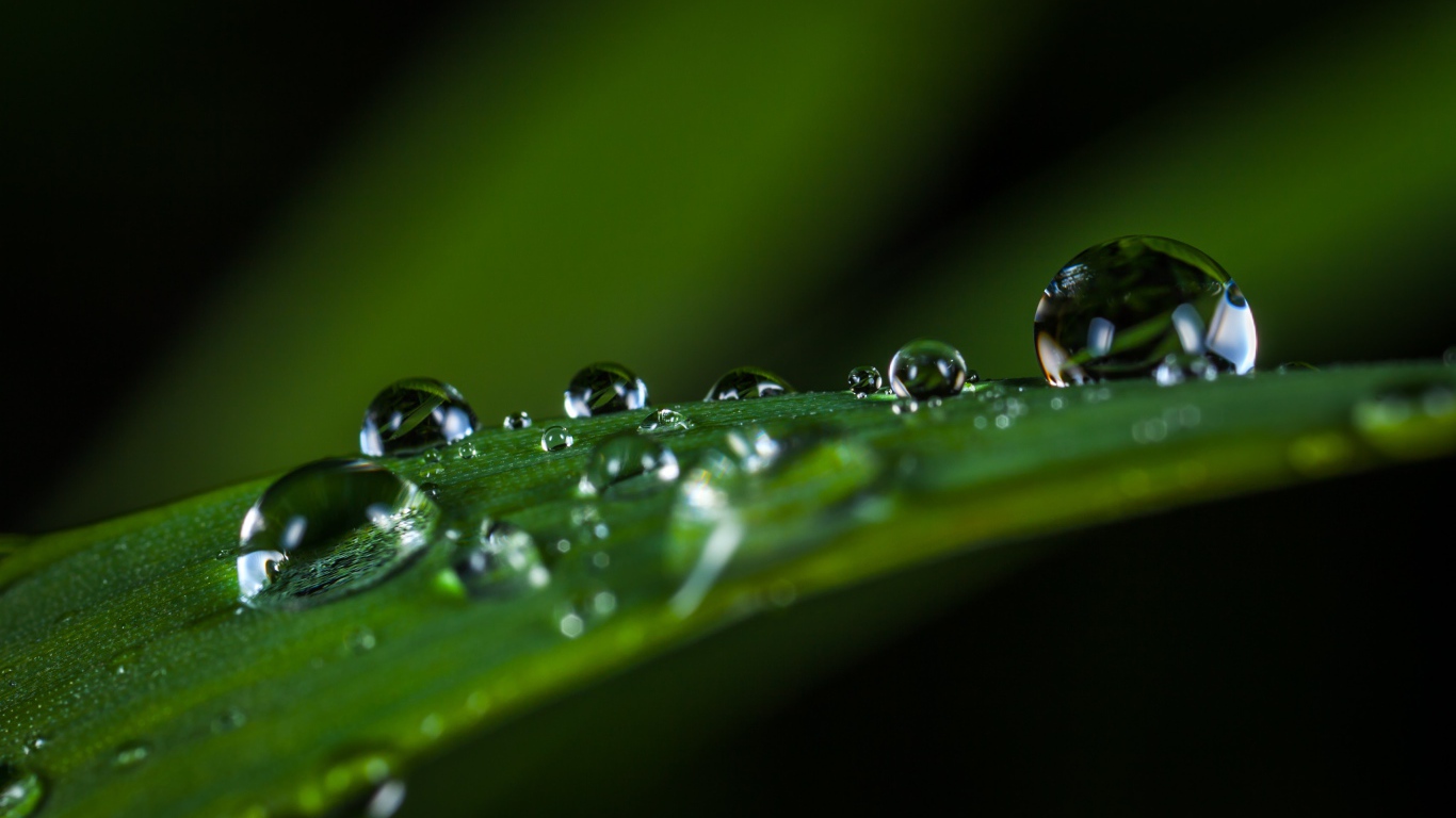 Большие капли росы на зеленой траве 