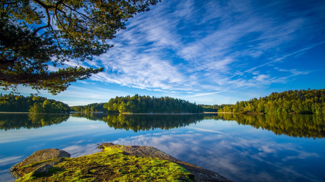 Голубое небо и зеленые деревья отражаются в воде