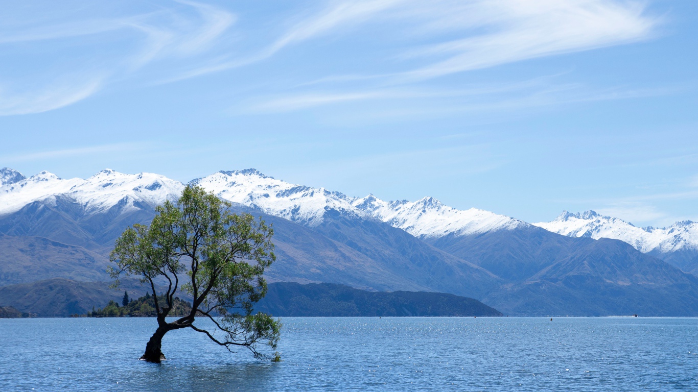 Одинокое дерево в воде на фоне гор под красивым небом