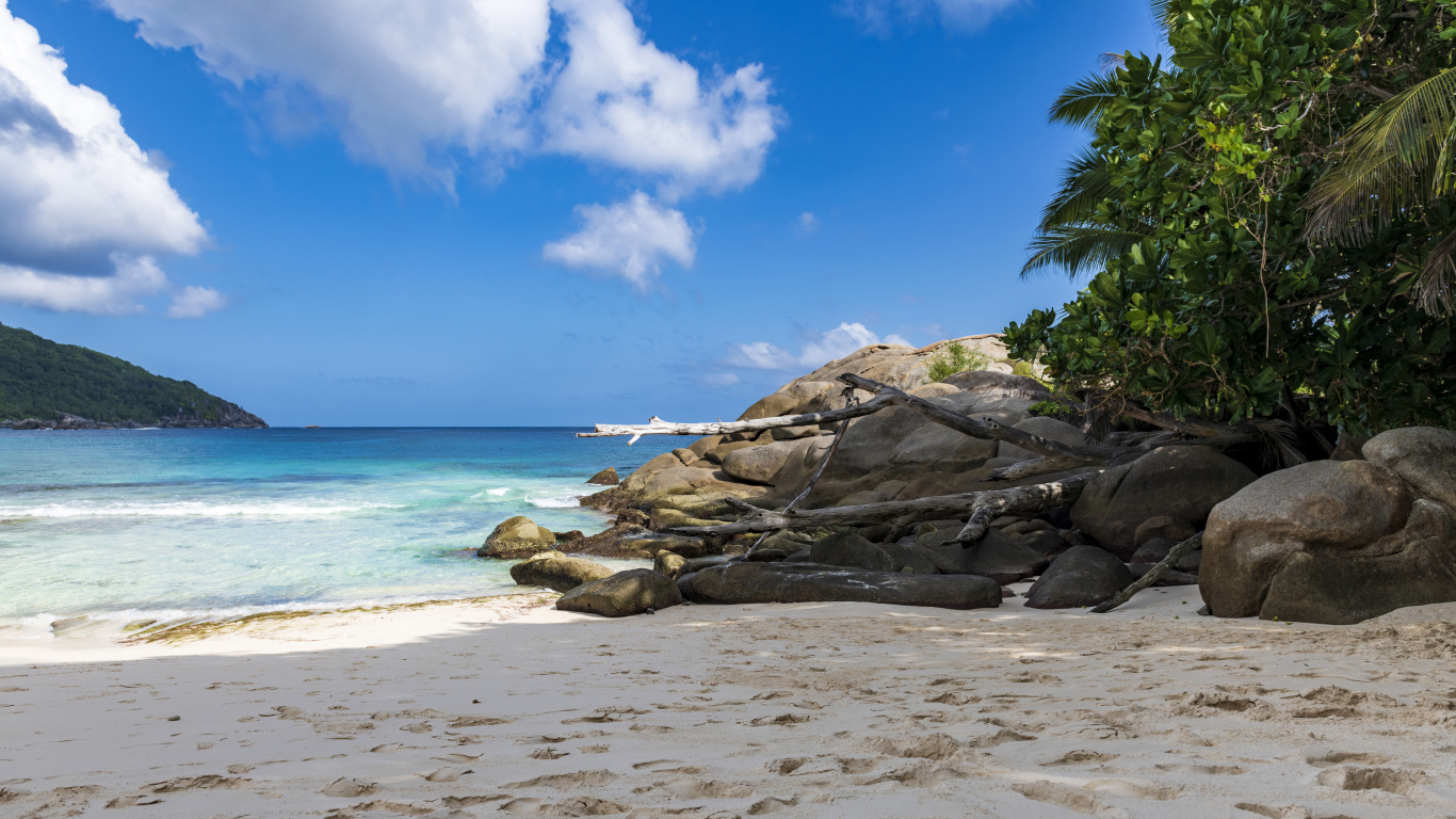 Камни на берегу океана на желтом песке под голубым небом