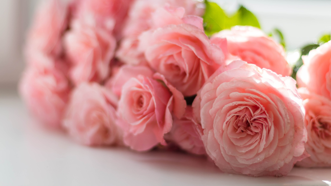 Букет розовых роз лежит на белом подоконнике  