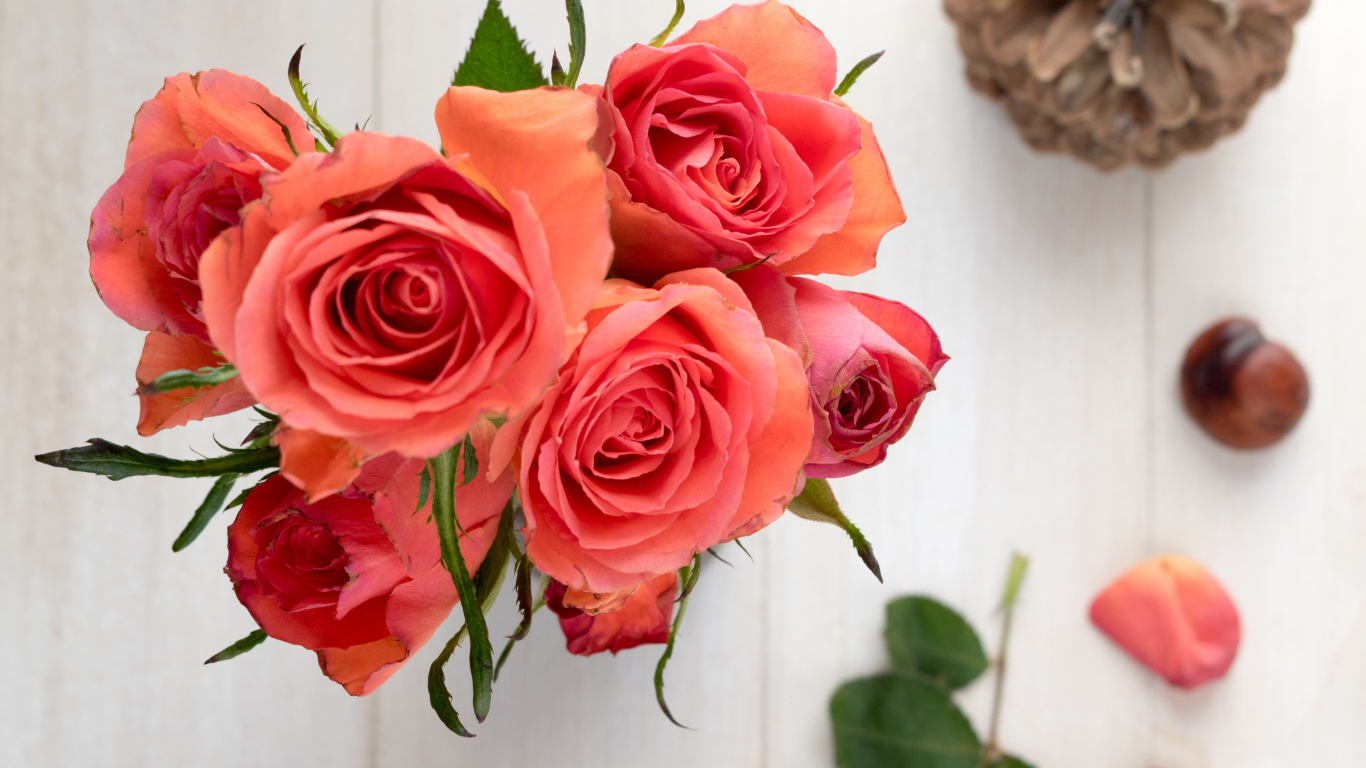 Букет розовых роз на столе с каштанами и шишкой