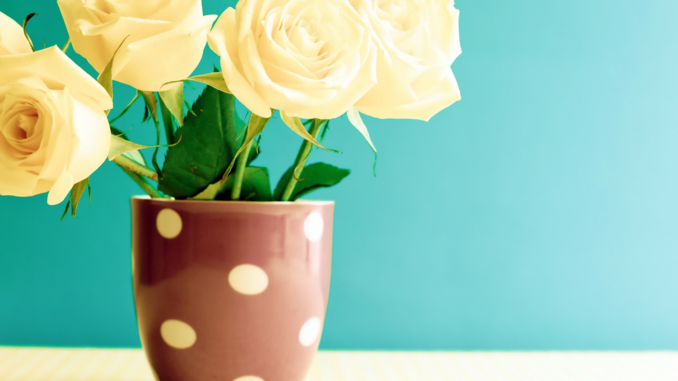 Букет белых роз в вазе на голубом фоне