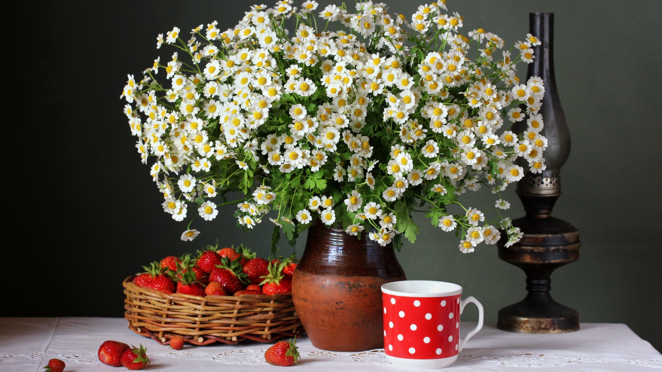 Большой букет ромашек на столе с клубникой