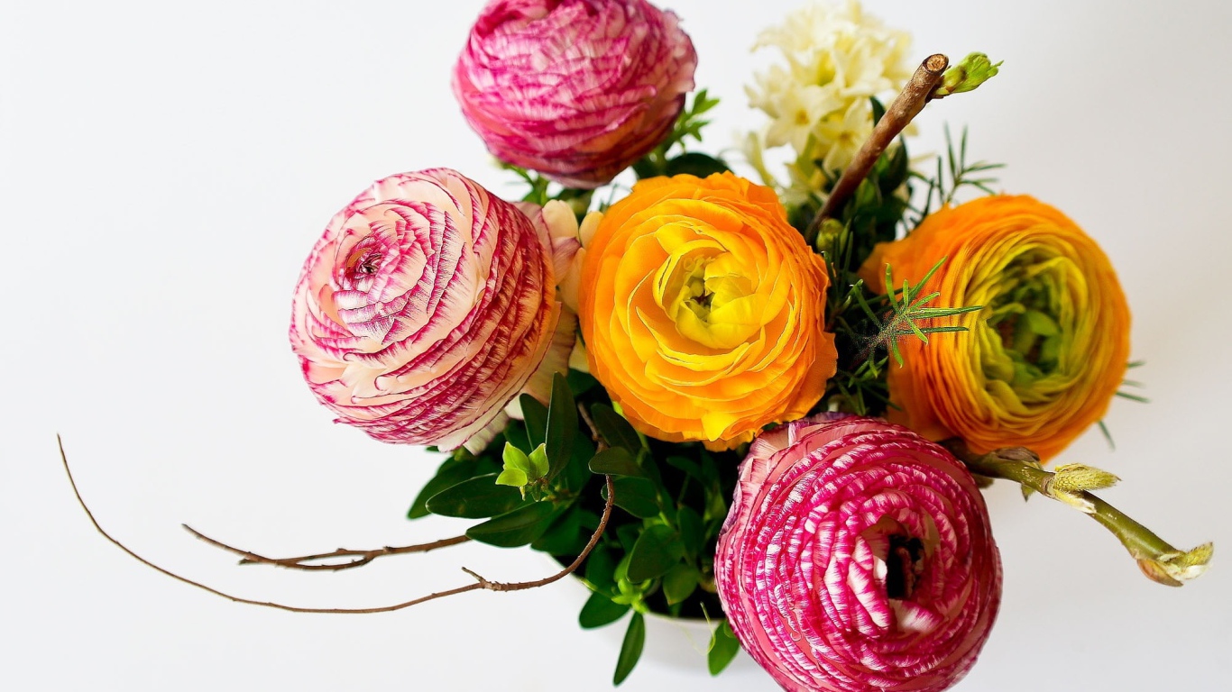 Букет разноцветных лютиков на сером фоне