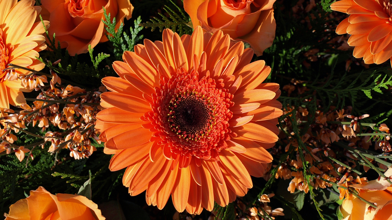 Букет оранжевых гербер с розами 