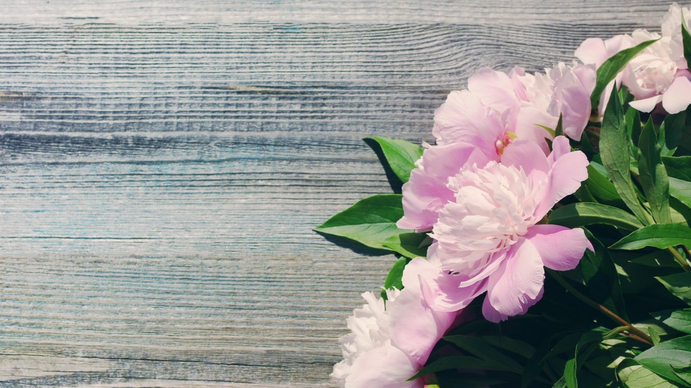 Букет розовых весенних пионов на деревянной поверхности 