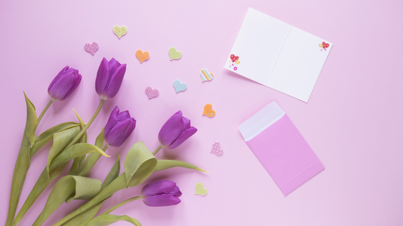 Букет фиолетовых тюльпанов на розовом фоне шаблон для открытки