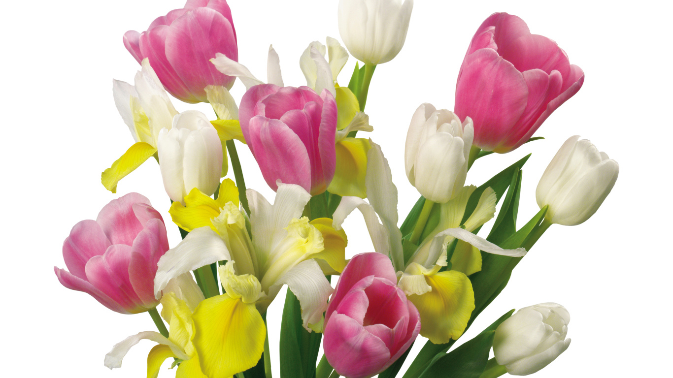 Букет желтых и розовых тюльпанов и ирисами на белом фоне