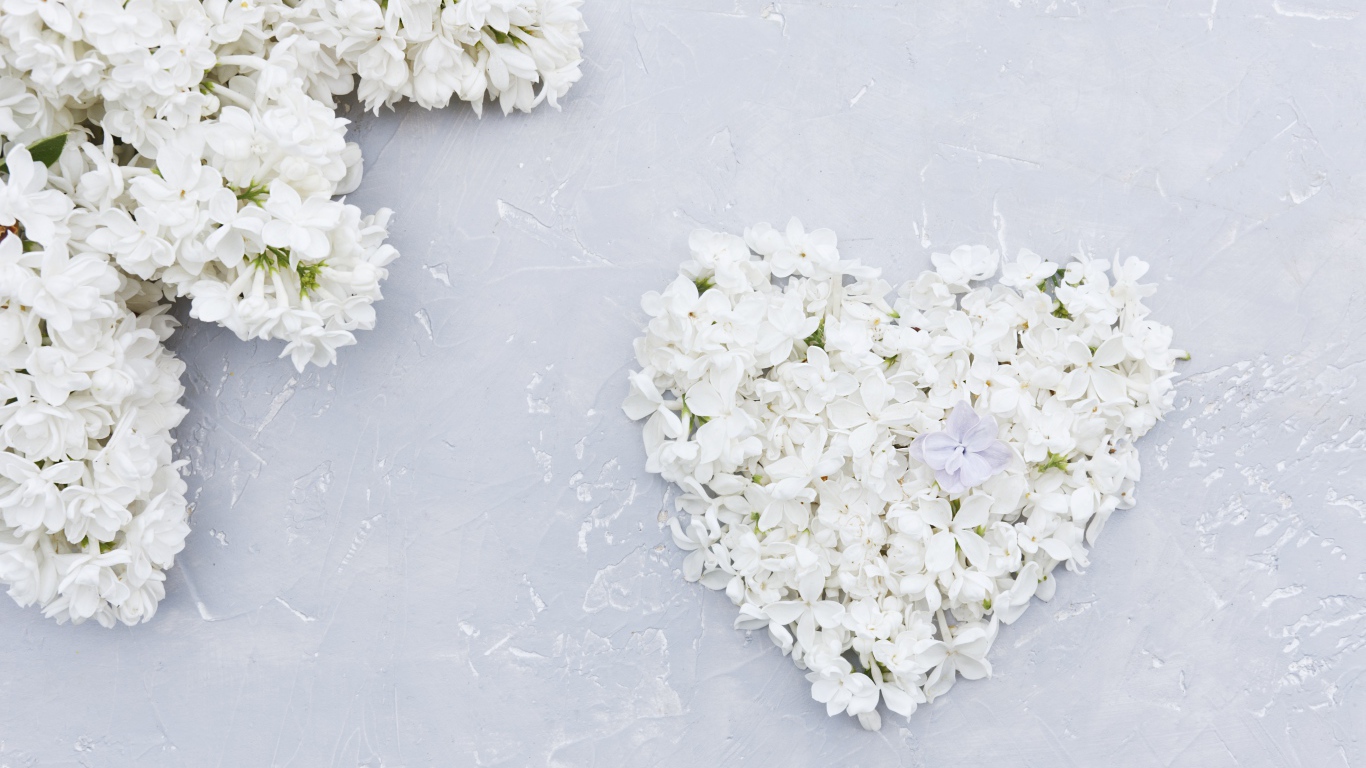 Сердце из цветов белой сирени на сером фоне