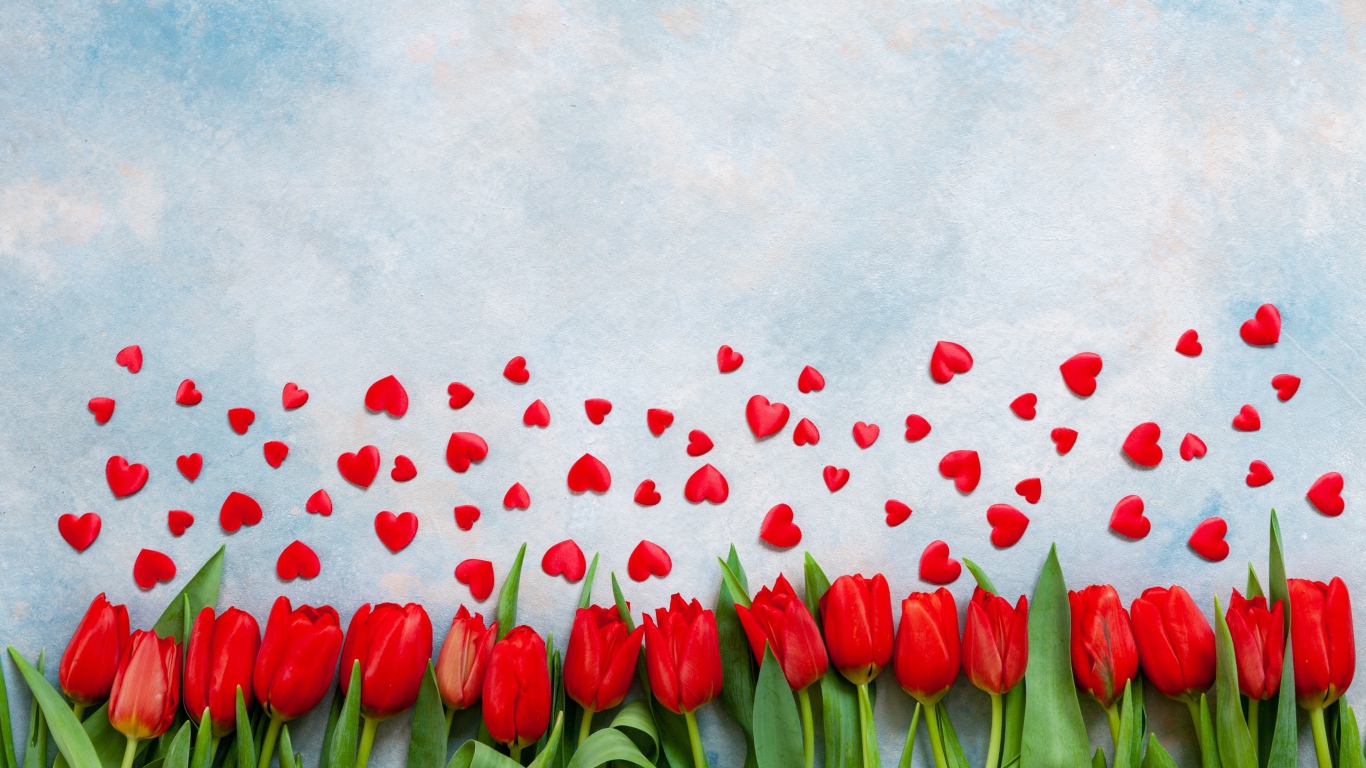 Красные тюльпаны на голубом фоне с красными сердечками