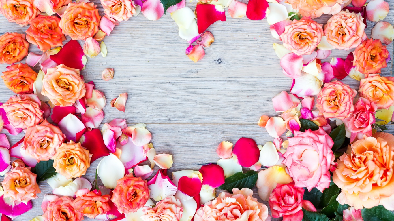 Бутоны роз на сером фоне крупным планом