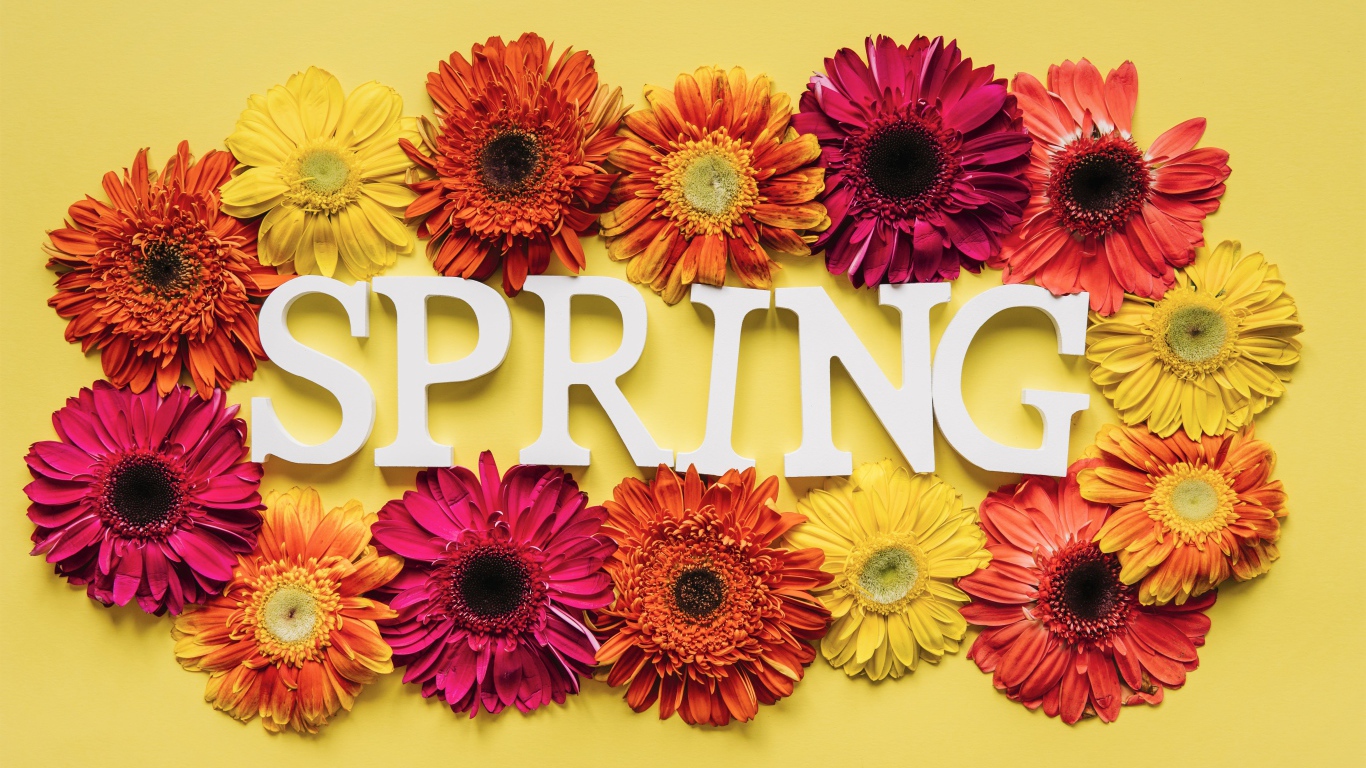 Надпись на английском весна с цветами герберы 