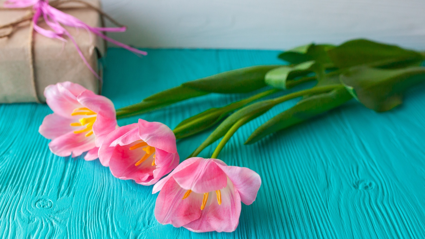 Три розовых тюльпана на голубом столе с подарком