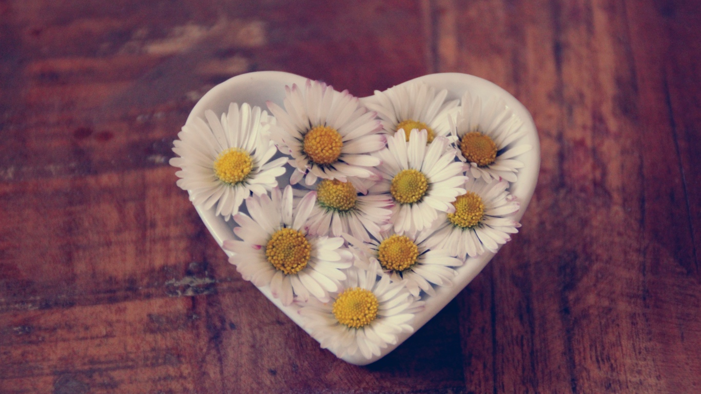 Белые ромашки в посуде в форме сердца
