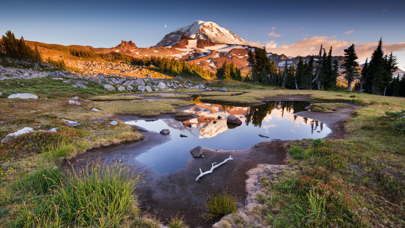 Заснеженная гора  у леса под голубым небом в лучах солнца