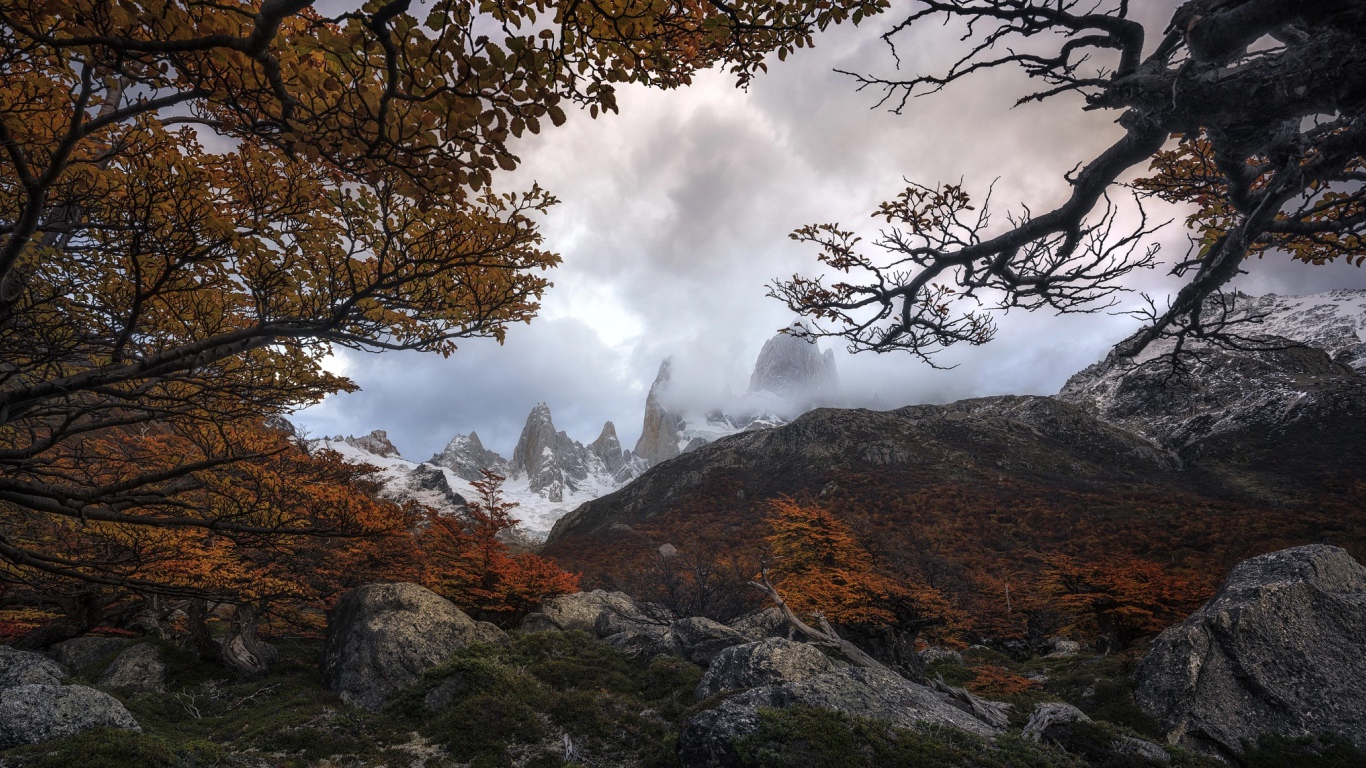 Деревья с желтыми листьями на фоне гор 