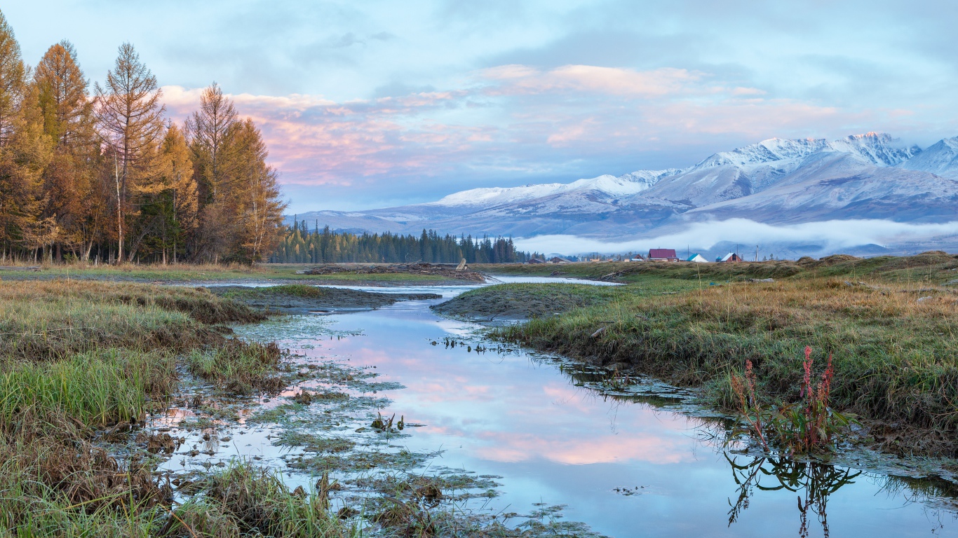 Река у леса на фоне гор под красивым небом