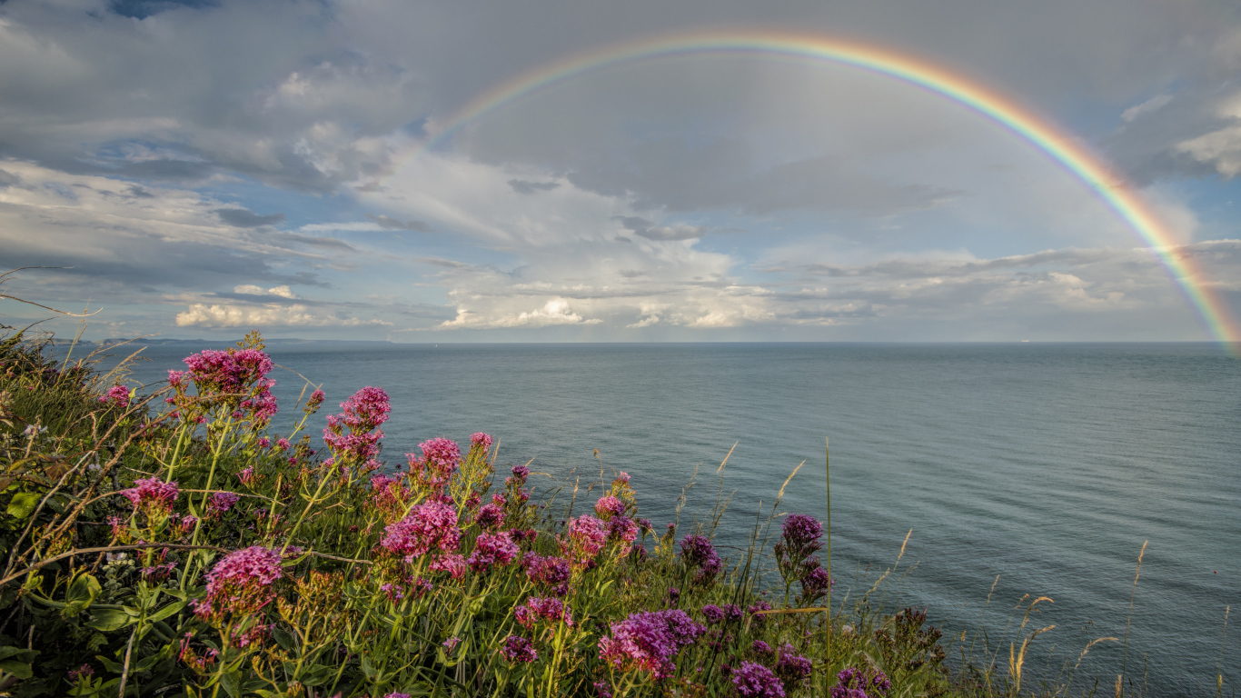 Радуга над морем в небе с облаками 