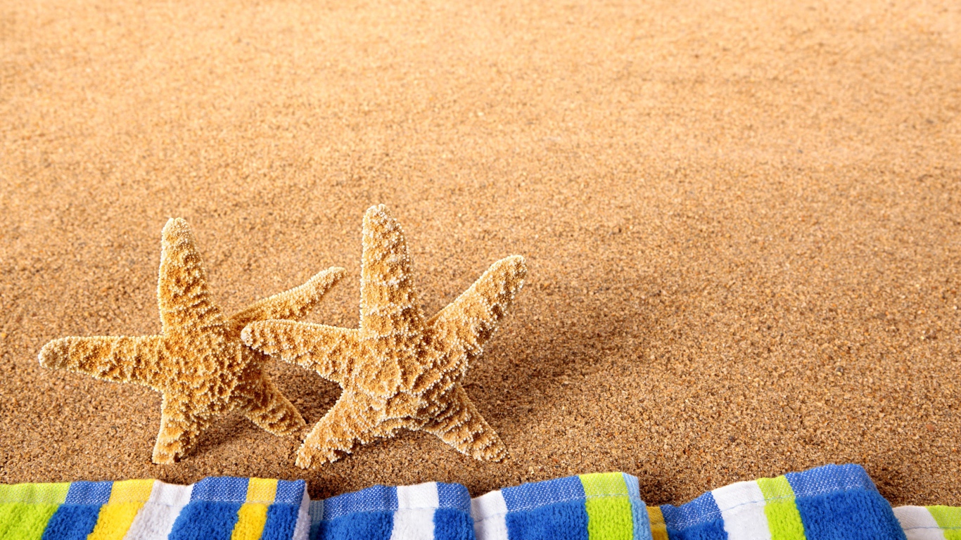 Две морские звезды на желтом песке с полотенцем