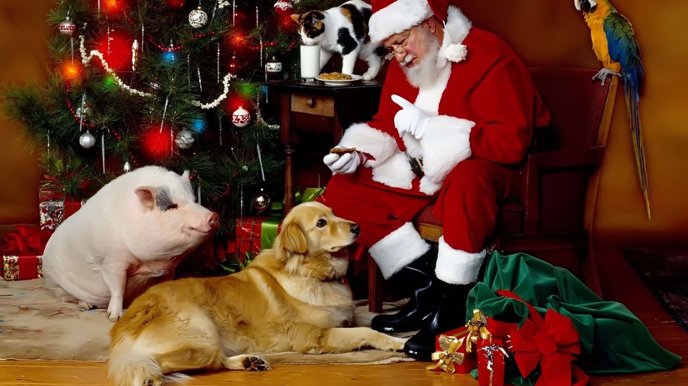 Санта Клаус с собакой, свиньей и котом у новогодней елки