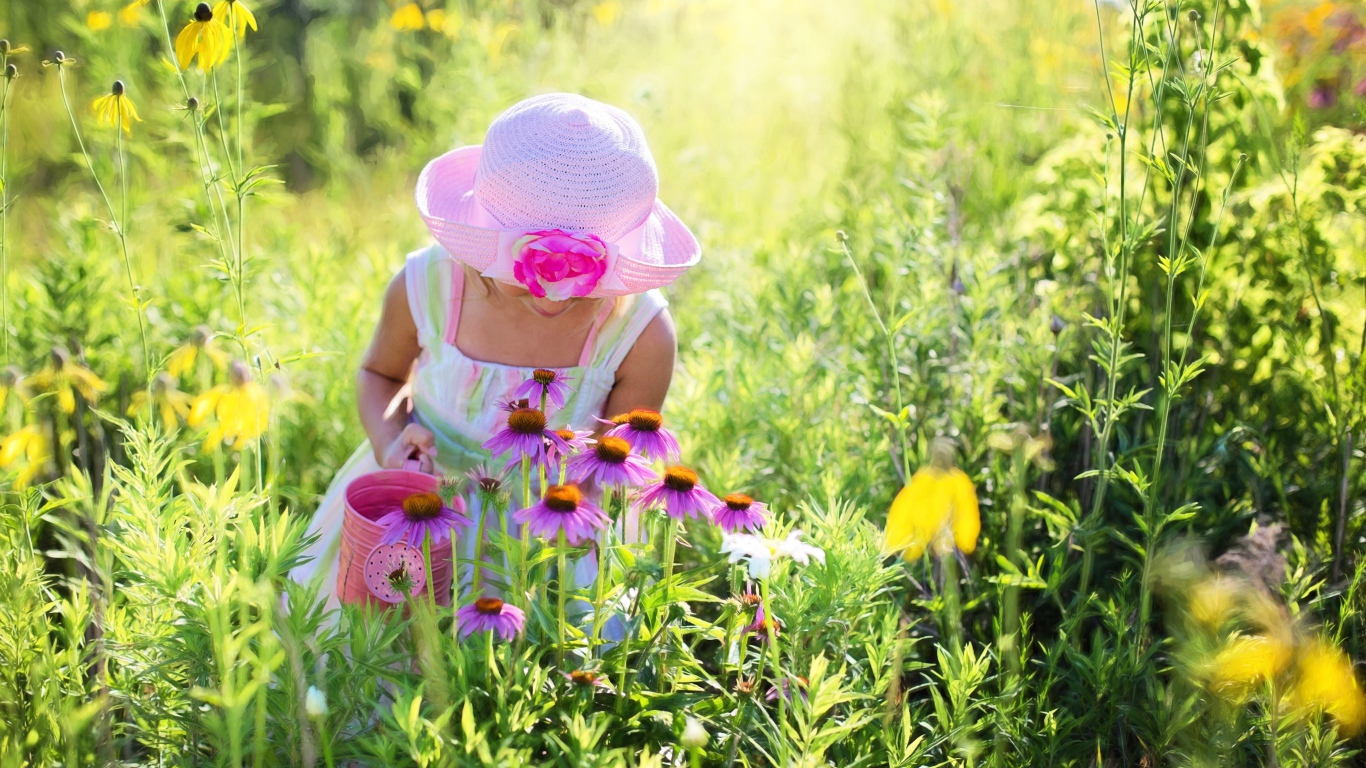 Маленькая девочка на поляне с розовыми цветами эхинацеи 