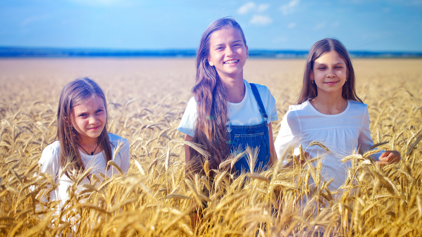Три девочки на поле с желтой пшеницей
