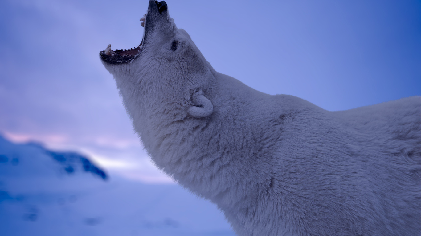 Белый полярный медведь с открытой пастью 