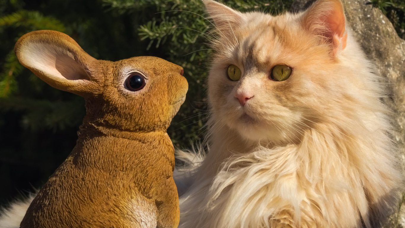 Пушистый рыжий кот сидит в парке со статуэткой кролика 