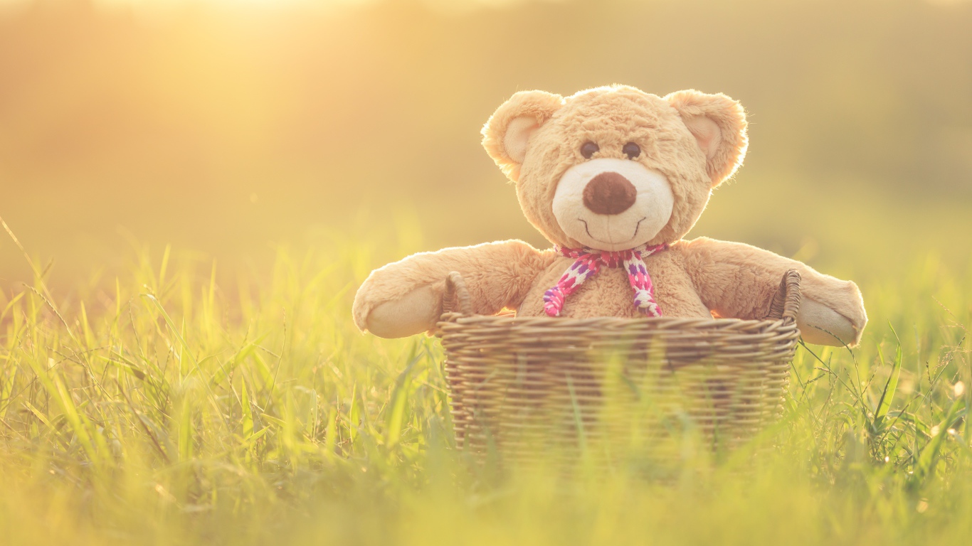 Плюшевый медведь в корзине стоит на зеленой траве