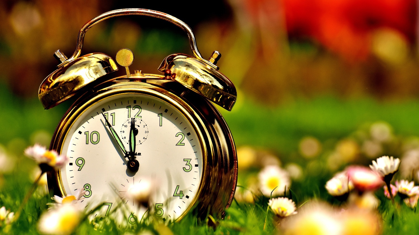 Golden alarm clock stands on the grass with daisies