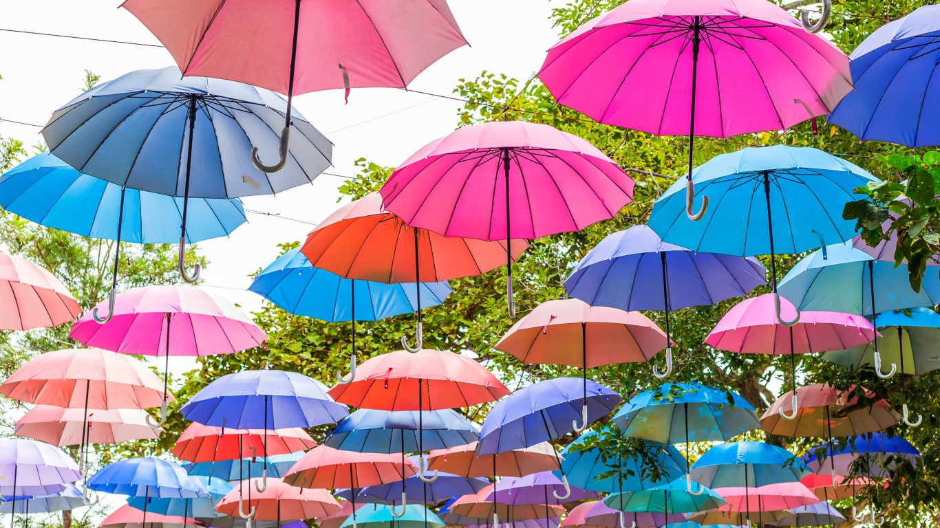 Много разноцветных зонтов в парке 