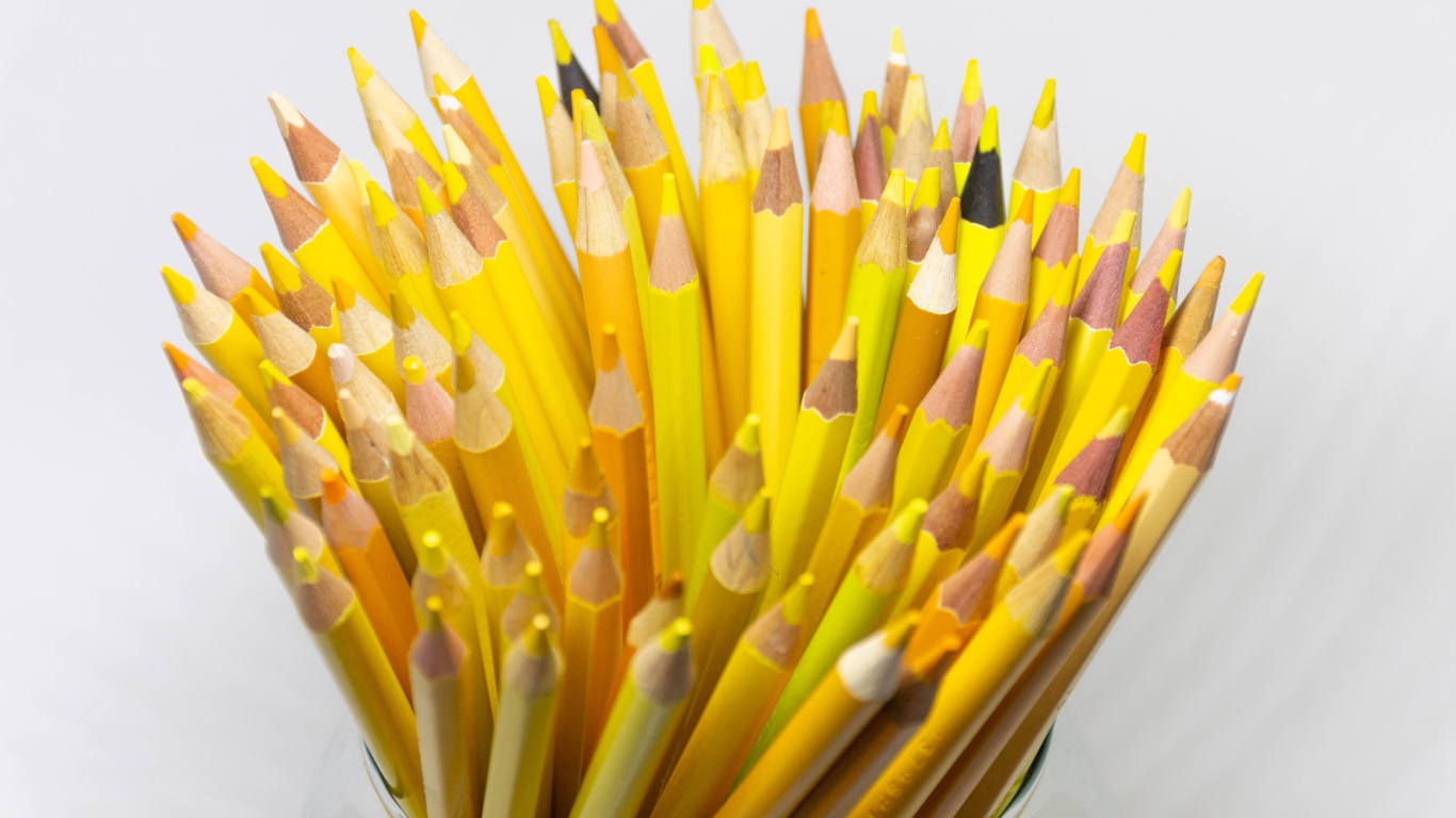 Many yellow pencils on a white background close up