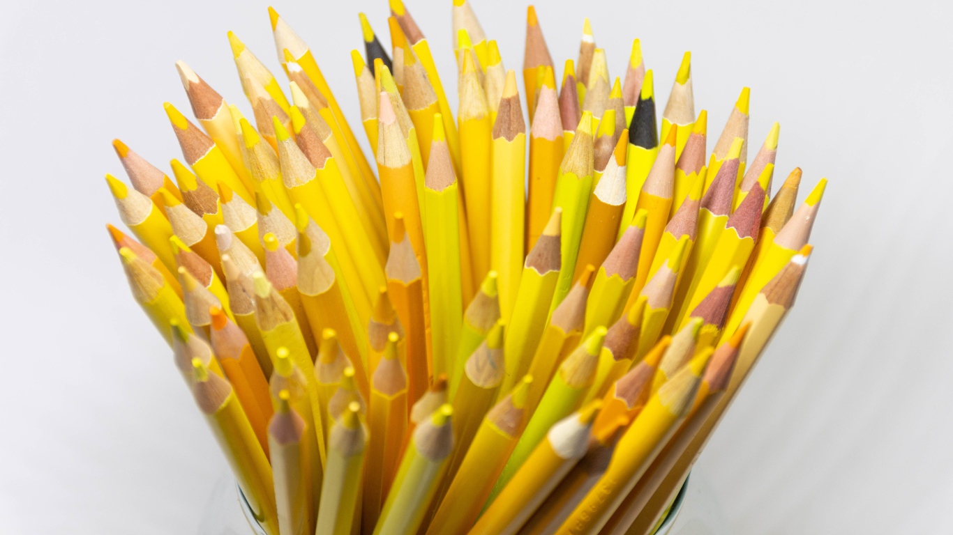 Много желтых карандашей на белом фоне крупным планом