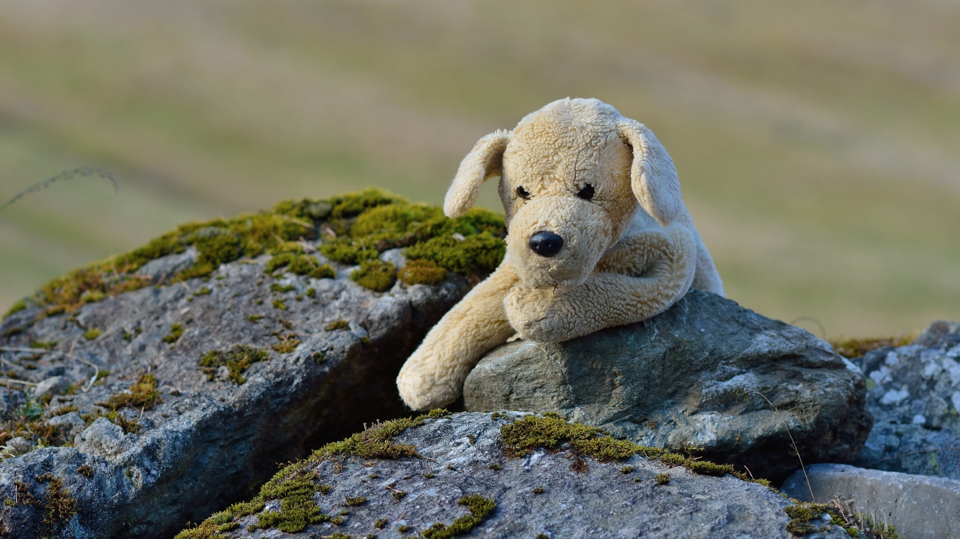 Игрушечная собака лежит на камне  